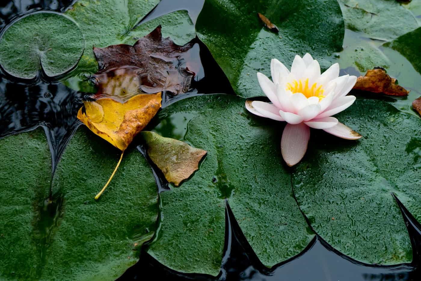 5 Endroits Insolites pour Méditer